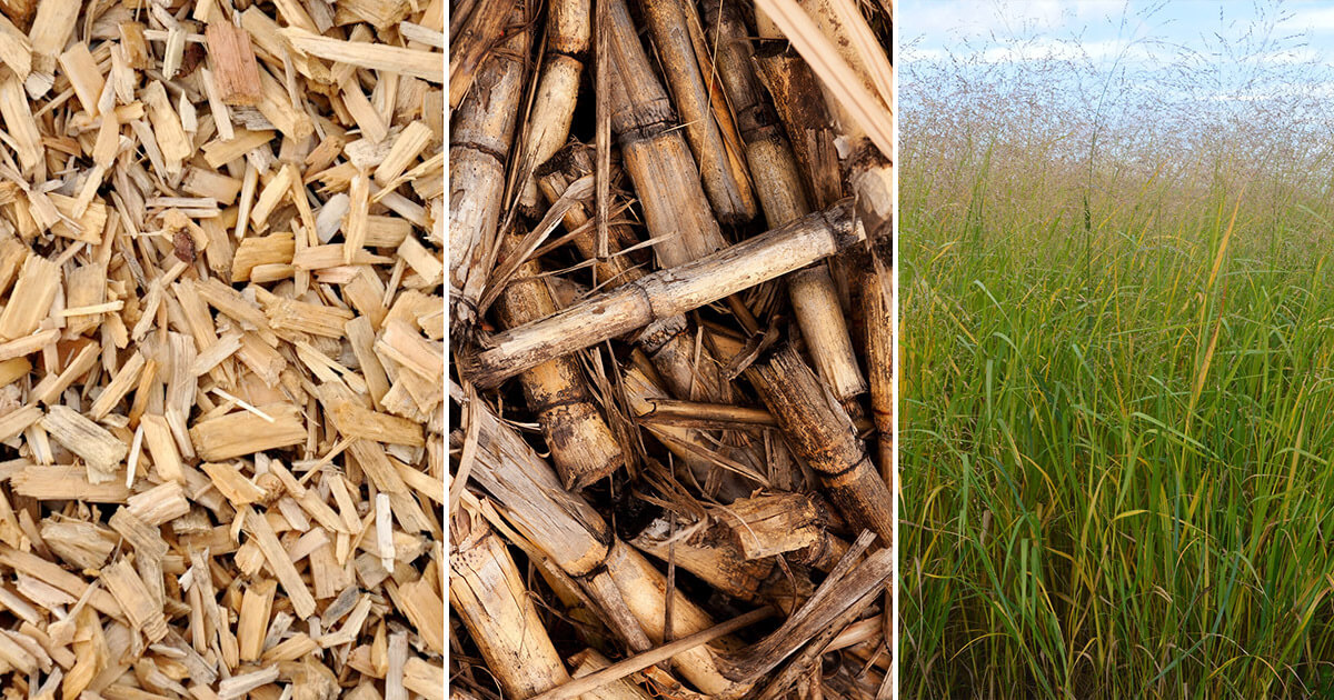 Biomass Drying: Innovation or Revolution?